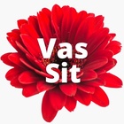 Vaalivalmistelua tiimssissä 11.12. 2024 linkki tulee tänne lähempänä